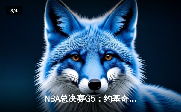 NBA总决赛G5：约基奇32+21+10史诗三双 掘金险胜热火夺赛点 - 3